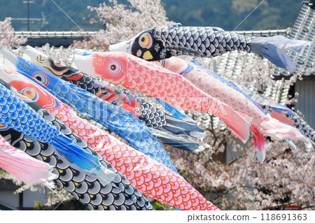 鯉魚旗和櫻花祝我的孩子 118691363