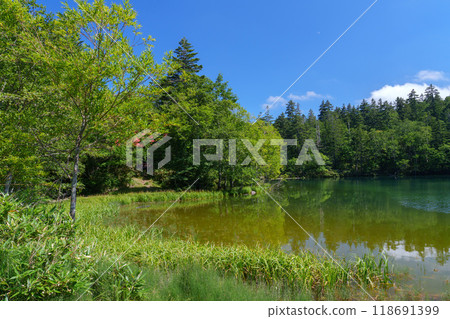 Climbing Mount Soranuma View of Mankei Numa Nature of Sapporo City 118691399