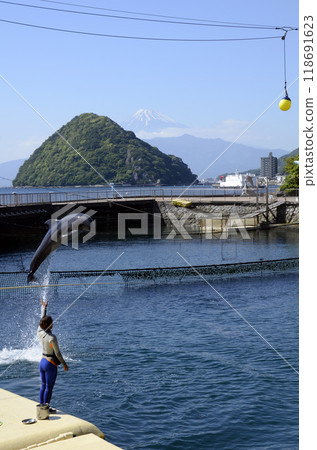 富士山和海豚 118691623