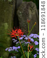 Higambuna 118691848