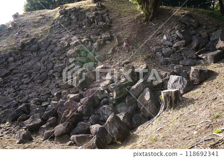 Ishigakiyama Ichiyajo Historical Park Minamikuruwa 118692341