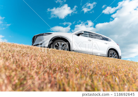 white SUV type passenger car white SUV type passenger car 118692645