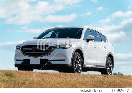 white SUV type passenger car white SUV type passenger car 118692657