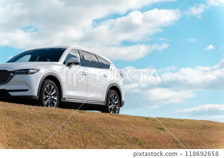 white SUV type passenger car 118692658