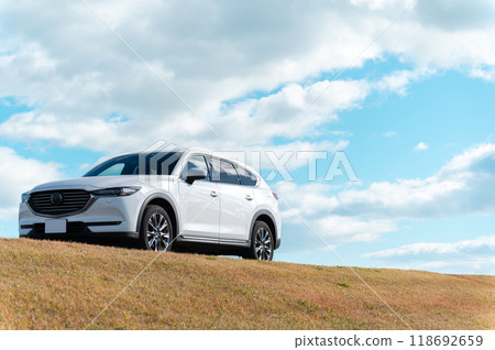 white SUV type passenger car 118692659