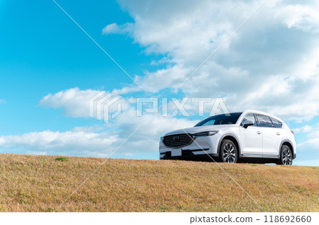 白色SUV型乘用車 118692660