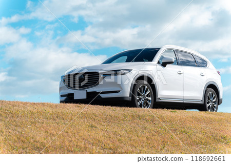 white SUV type passenger car white SUV type passenger car 118692661