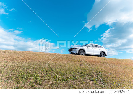 white SUV type passenger car white SUV type passenger car 118692665