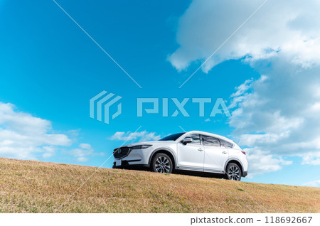 white SUV type passenger car white SUV type passenger car 118692667