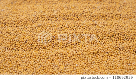 Yellow Dry Mustard Seed Background, Natural Organic Seasoning 118692939
