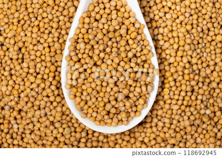 Mustard seeds in a spoon, natural organic seasoning Mustard seeds in a spoon, natural organic seasoning 118692945
