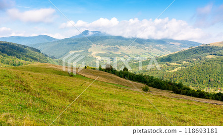 mountainous countryside landscape in autumn. green fields and trees on the hill. sunny day. view in to the distant valley. beautiful outdoor scenery of carpathians. rural region of ukraine 118693181