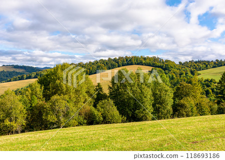 countryside scenery in mountains. autumn landscape of carpathians with meadows rolling through forested hills in morning light. sunny weather with cloudy sky countryside scenery in mountains. autumn landscape of carpathians with meadows rolling through forested hills in morning light. sunny weather with cloudy sky 118693186