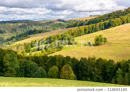 countryside scenery in mountains. autumn landscape of carpathians with meadows rolling through forested hills in morning light. sunny weather with cloudy sky countryside scenery in mountains. autumn landscape of carpathians with meadows rolling through forested hills in morning light. sunny weather with cloudy sky 118693189