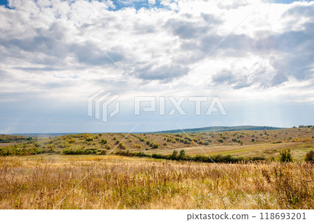 countryside of ukraine. cloudy afternoon. autumn landscape. grassy field and rolling hills. rural scenery. abandoned vineyard in the distance countryside of ukraine. cloudy afternoon. autumn landscape. grassy field and rolling hills. rural scenery. abandoned vineyard in the distance 118693201