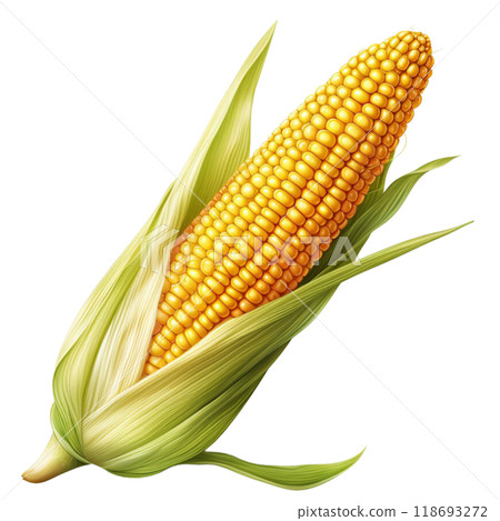 corn 118693272