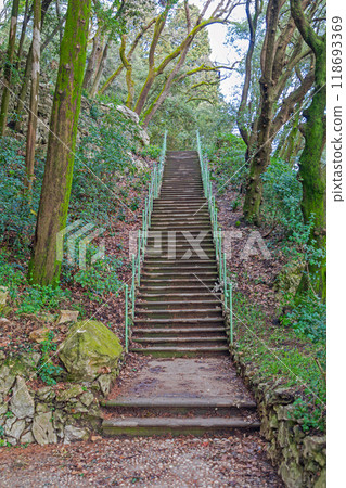 Stairway in Park 118693369