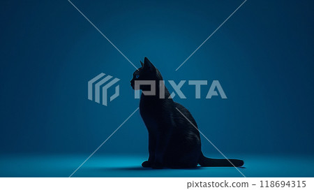 sleek black cat silhouette against blue background creates mysterious atmosphere. sleek black cat silhouette against blue background creates mysterious atmosphere. 118694315