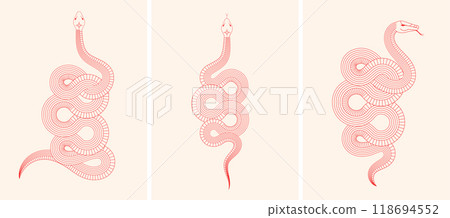 Chinese new year 2025 year of the Snake. Abstract snake illustrations. Linear geometric minimalist 118694552