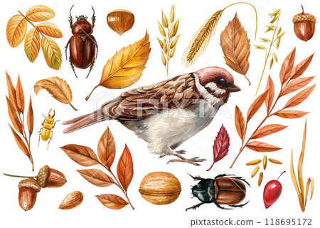 Sparrow, beetles and autumn leaves, Watercolor bird with Isolated for creative design, nature-Inspired artwork. Fall set Sparrow, beetles and autumn leaves, Watercolor bird with Isolated for creative design, nature-Inspired artwork. Fall set 118695172