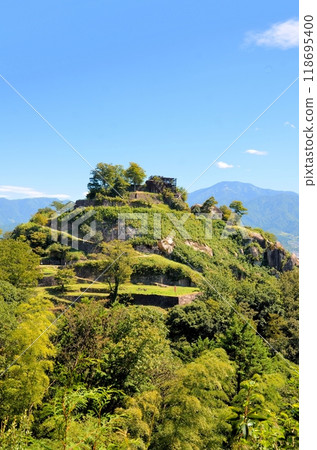 Saplings Castle Ruins 118695400