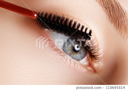 Mascara applying closeup, long lashes. Mascara Mascara applying closeup, long lashes. Mascara 118695814