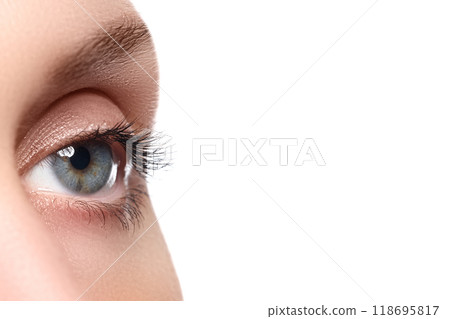 Female Eye with Extreme Long False Eyelashes 118695817