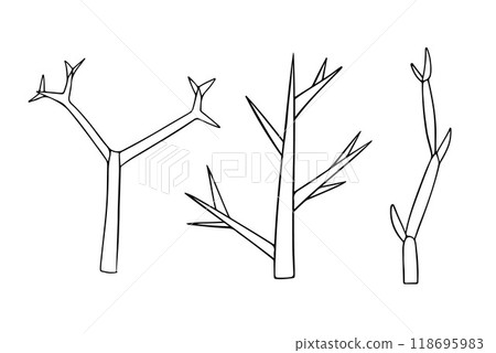 Vector isolated illustration of shoot branching types on white background. Vector isolated illustration of shoot branching types on white background. 118695983