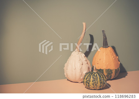 Decorative pumpkins on light orange Decorative pumpkins on light orange 118696283