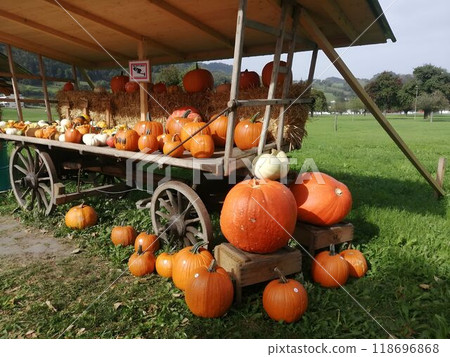 A rustic wooden cart overflows with vibrant orange pumpkins against a backdrop of lush green grass and an open sky. 118696868