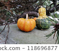 Three decorative pumpkins on a stone surface with pine branches in the background. 118696877