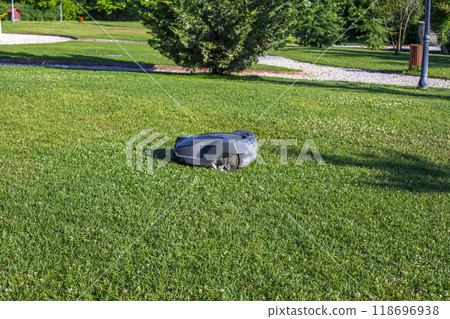 Robotic Lawn Mower cutting grass Robotic Lawn Mower cutting grass 118696938