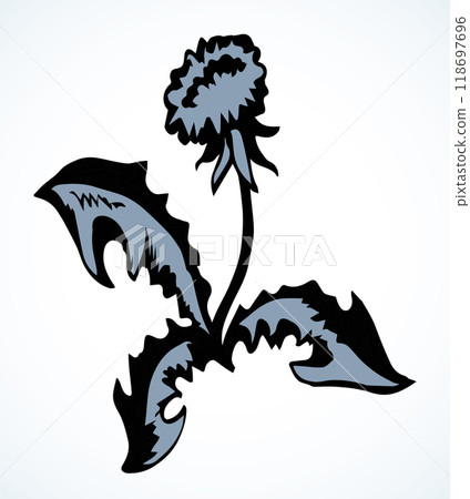 Blooming dandelion. Vector drawing icon 118697696