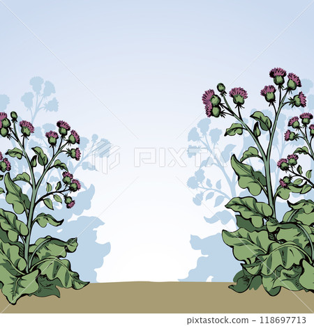 Big blooming burdock. Vector drawing 118697713