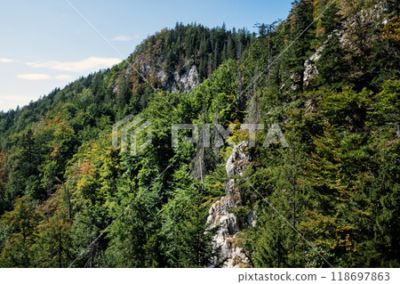 Zejmarska gorge, Slovak Paradise, Slovakia 118697863