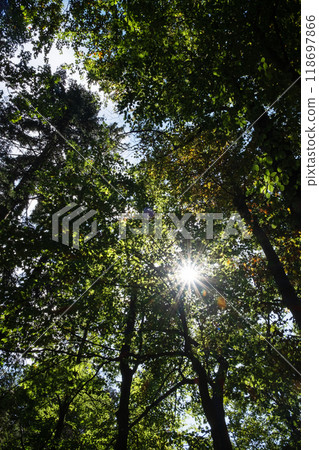 Zejmarska gorge, Slovak Paradise, Slovakia 118697866