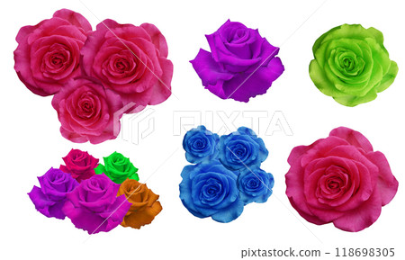 three pink roses flower, one violet rose flower, green rose flower, five colorful roses flower, four blue flower, one pink rose flower on white background, love, valentine, gift, decor, decoration 118698305