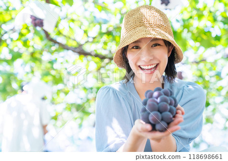 A woman picking grapes A woman picking fruit 118698661