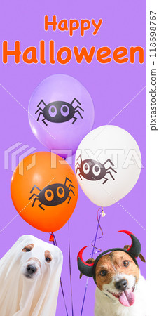 Vertical collage with funny dogs in Halloween costumes and holiday balloons. 118698767