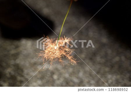 閃爍發光物煙花的圖像 118698932