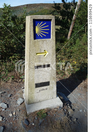 Signpost of the Saint James Way displaying the traditional yellow arrow and scallop Signpost of the Saint James Way displaying the traditional yellow arrow and scallop 118699429