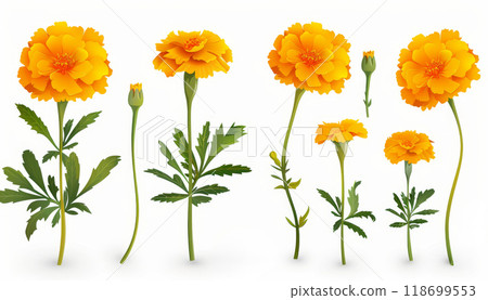 A set of orange flowers with green stems by AI generated image 118699553