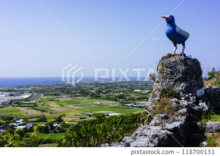 View from the ruins of Yoron Castle 118700131