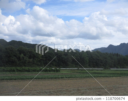 Scenery with rice field 118700674