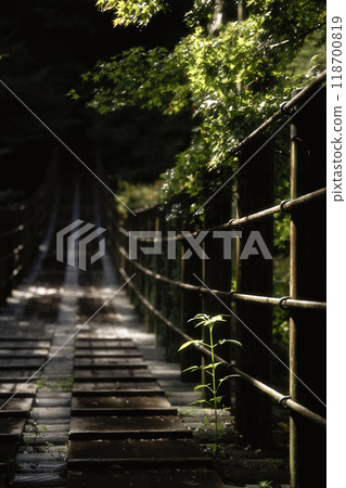 A suspension bridge in a valley where the leaves are starting to turn red A suspension bridge in a valley where the leaves are starting to turn red 118700819