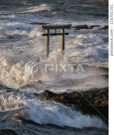 Morning at the Torii gate of Oarai Isosaki Shrine 118701101