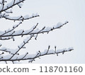 樹枝上的雪特寫 118701160