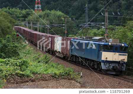 A freight train (81 train) hauled by an EF64 train running through the nature-rich Kisoji area. Photographed on September 22, 2024 118701269