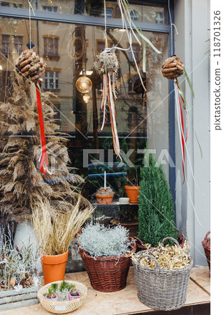 Festive Holiday Window Display with Christmas Plants and Decorations. 118701326
