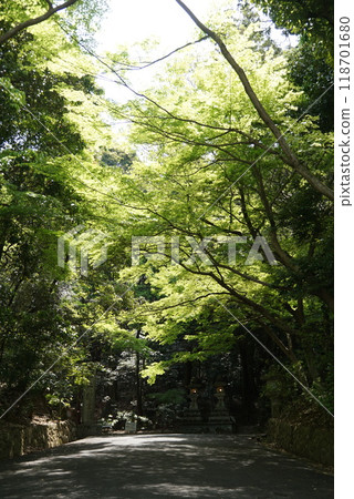 Isonokami Shrine - Approach Isonokami Shrine - Approach 118701680